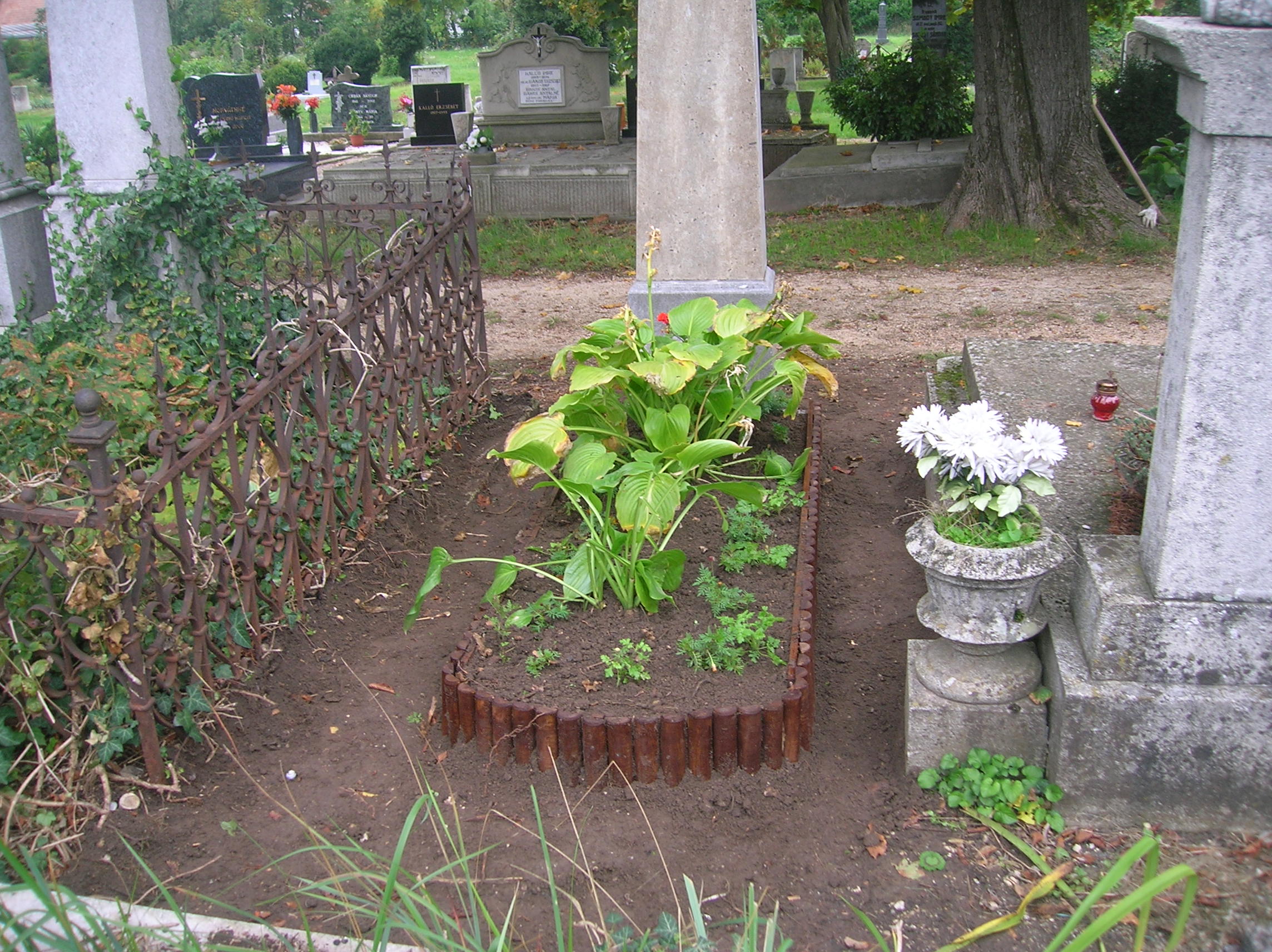 DSCN0005