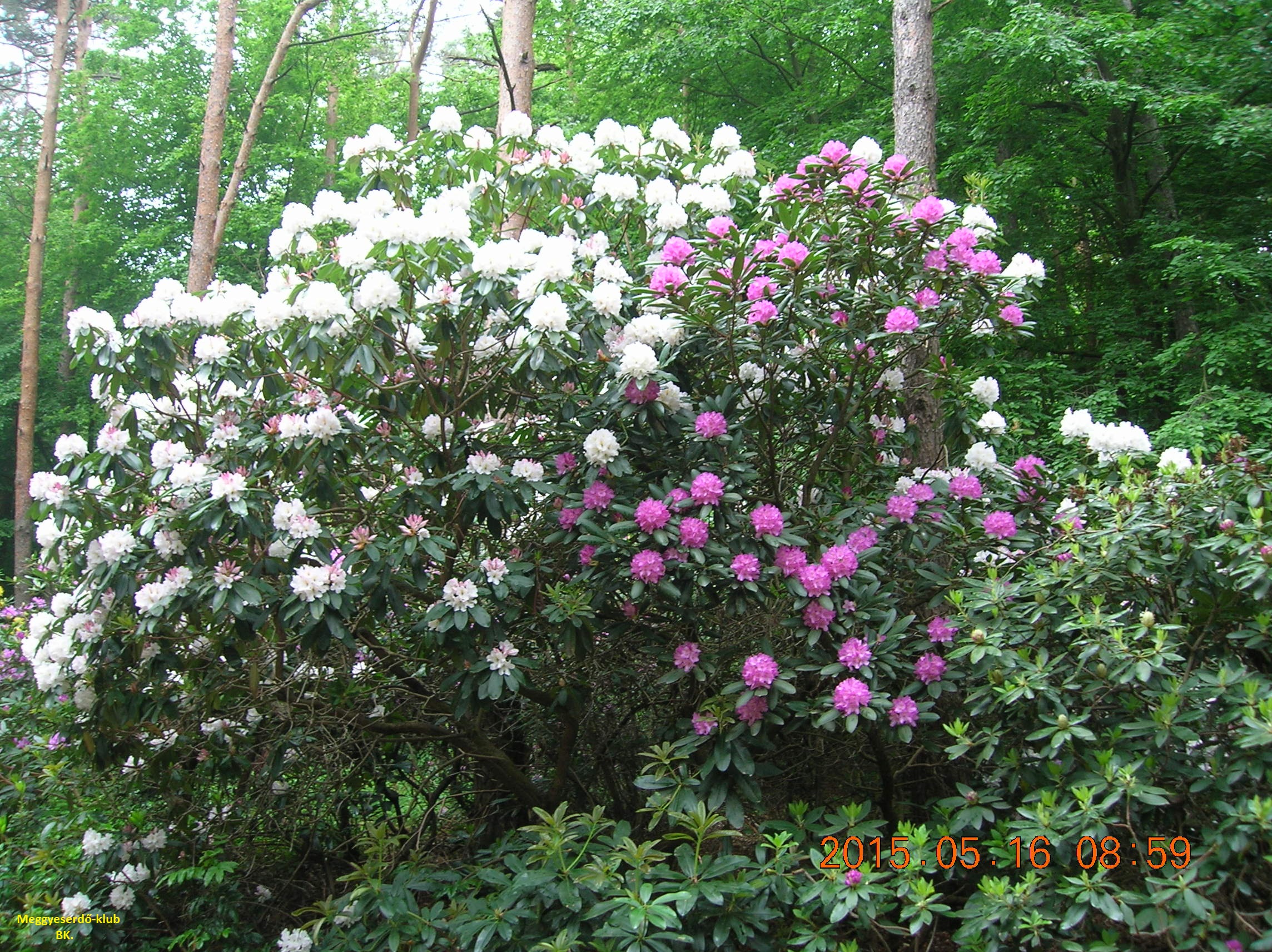 DSCN9941