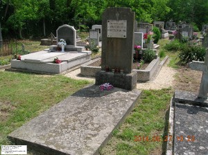 dscn9524.jpg