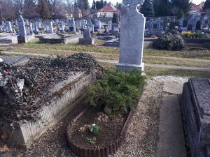 20180312_094052.jpg