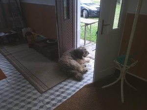 20180629_181537.jpg