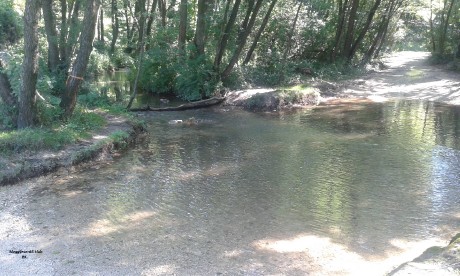 A Bittva patak