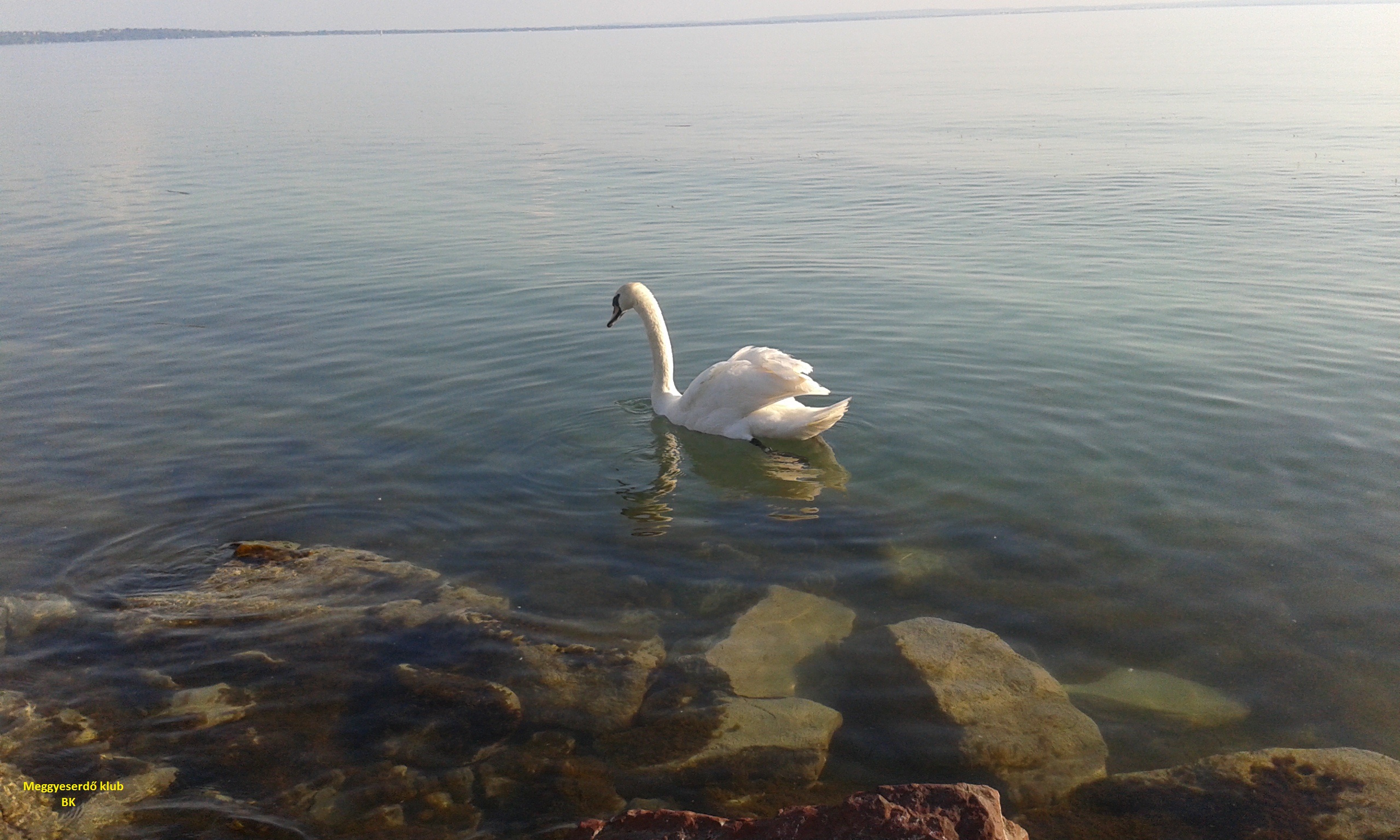 Csak ő maradt egyedül