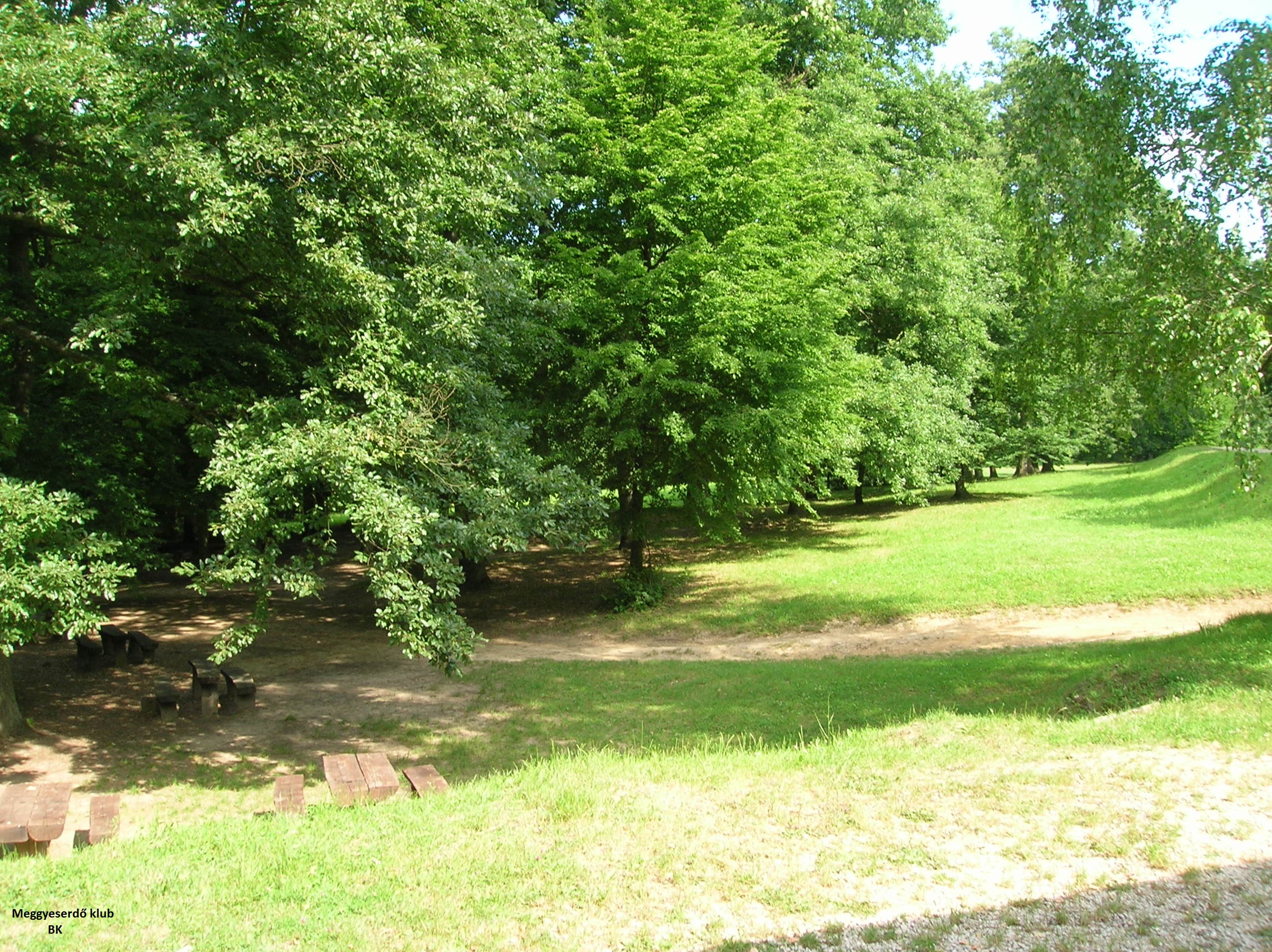 DSCN9982