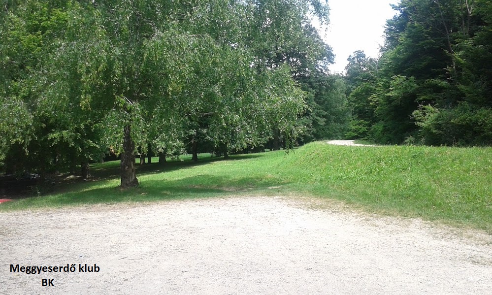 20150620_112147