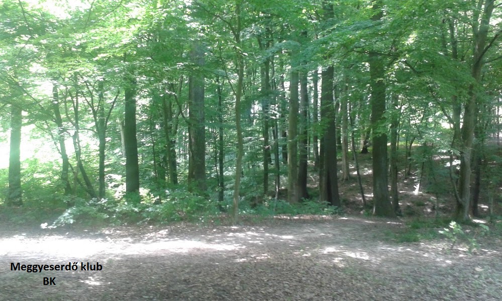 20150620_123437