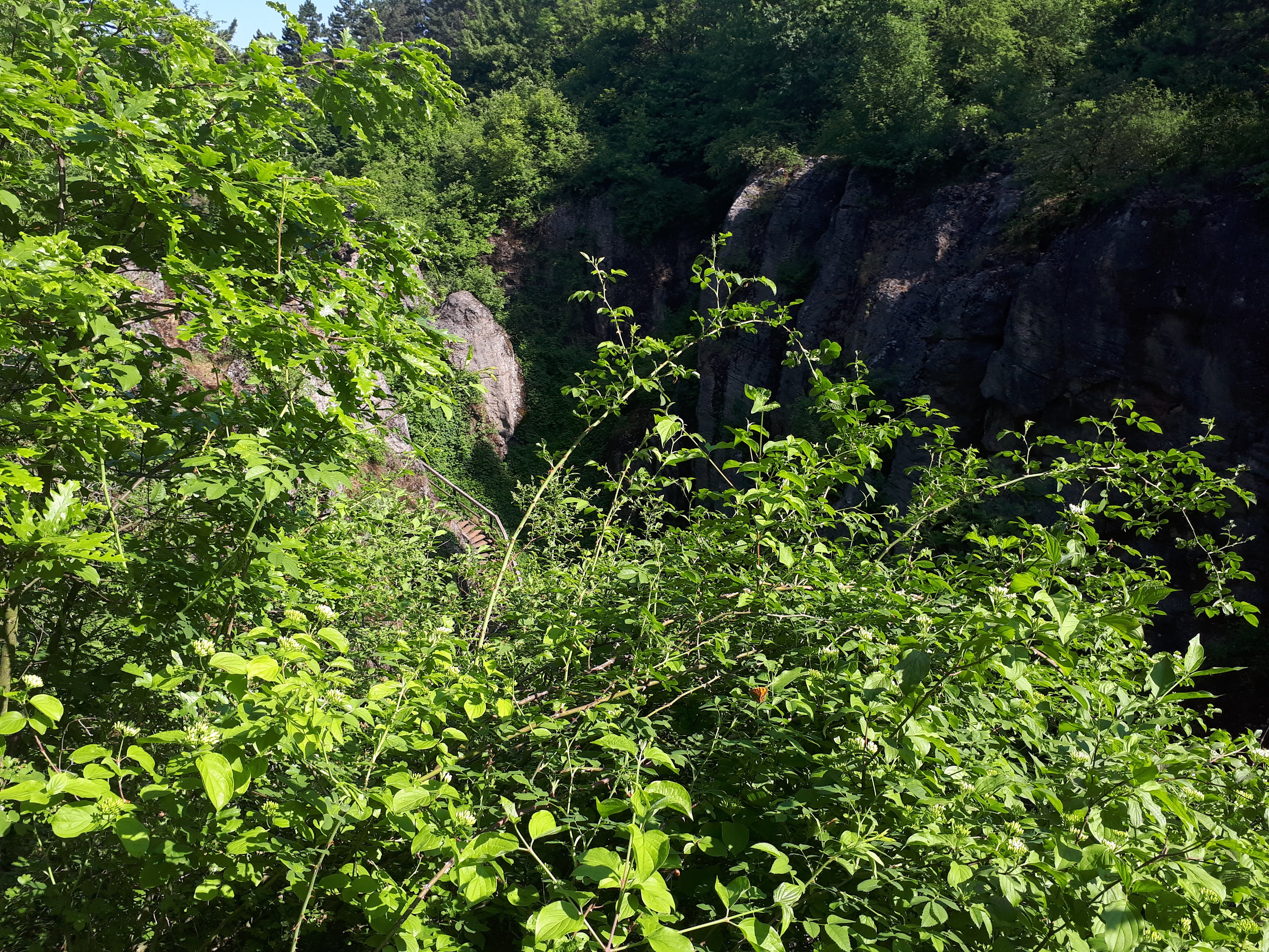 20180512_095046