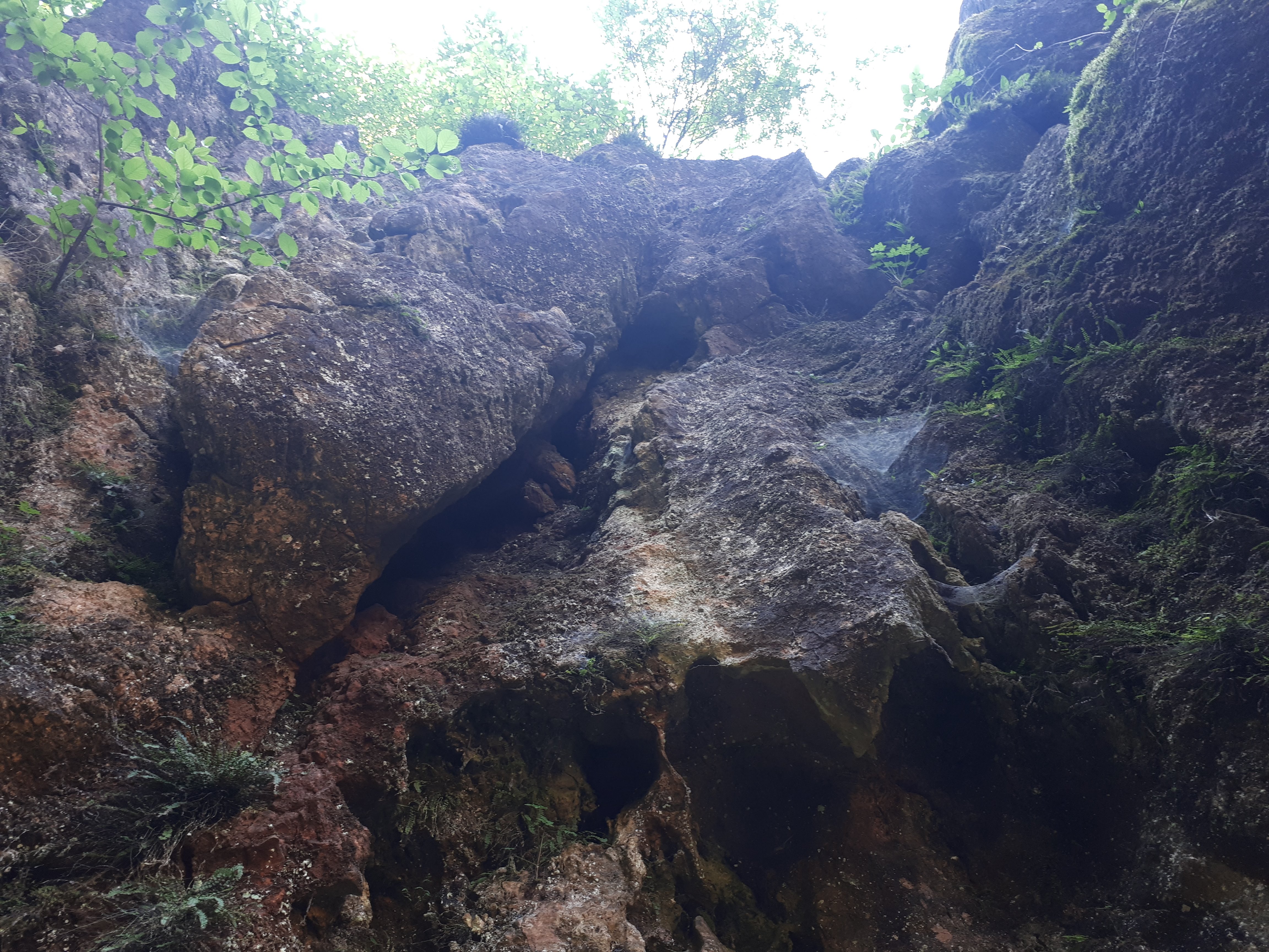 20180512_100324