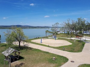 20170615_140535_001.jpg