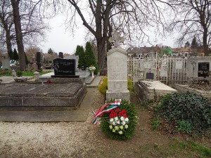 dsc00161.jpg