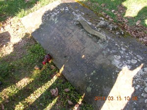 dscn9431.jpg